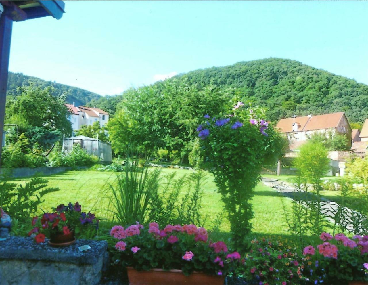 Ferienwohnung Bergblick - Inklusive Bodetal Therme Thale Esterno foto